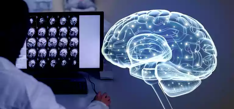 Understanding the Intricacies of Brain MRI